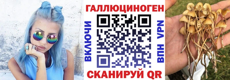 Псилоцибиновые грибы мухоморы  магазин продажи наркотиков  Черняховск 